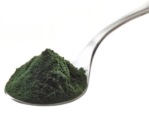 Spirulina Powder