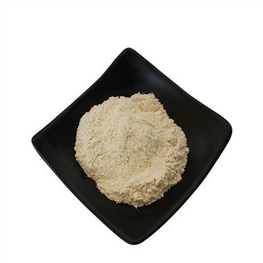 Schizochytrium Algae Powder