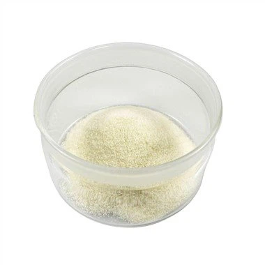 Vegan MCT Powder